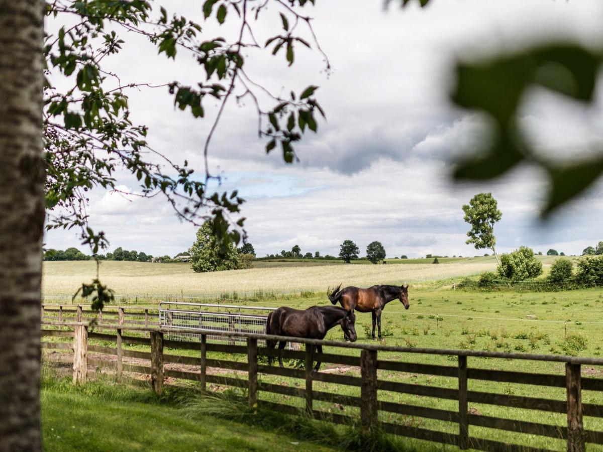 Apartmán Gut Royum Brodersby-Goltoft Exteriér fotografie